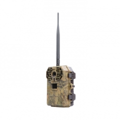Stable 2G Network Hunting Camera